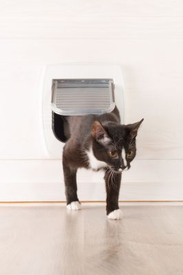 Pet Door Installation And Repair - Jem Closets And Doors Lockport, New York