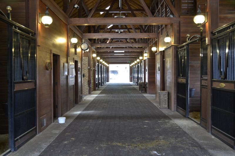 Material Picks that Last